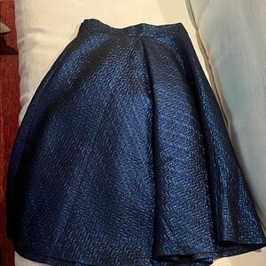 Banana Republic Navy A-Line Skirt